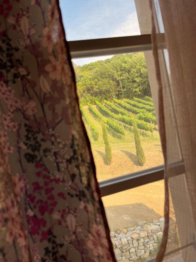 B&B Il Vecchio Molino Quercianella Extérieur photo